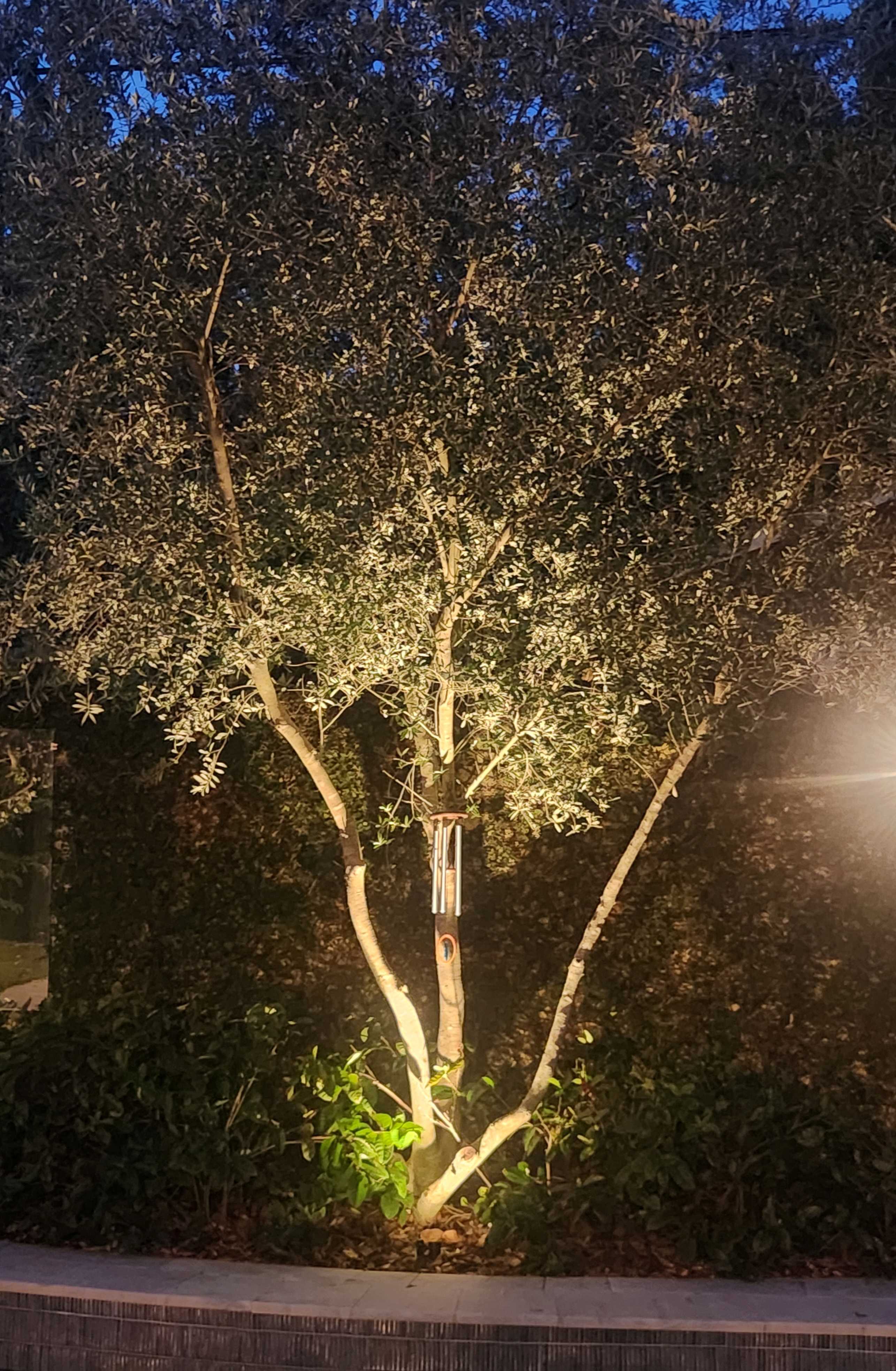 Various outdoor lighting