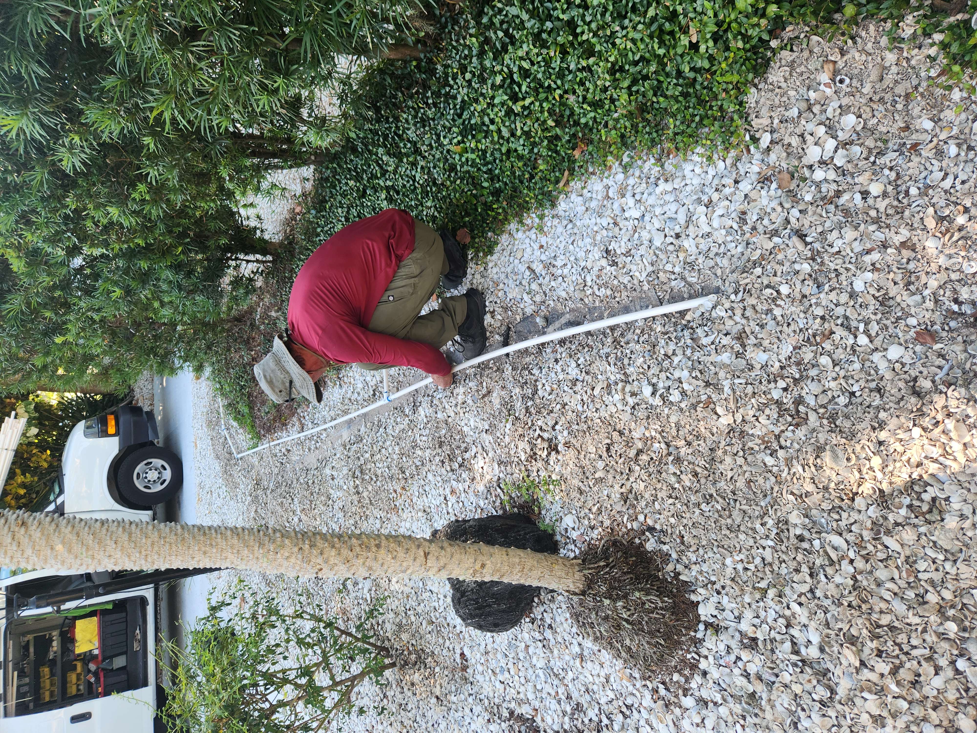 Sprinkler system being installed